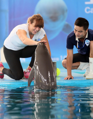 缩短轮换 缩短轮换